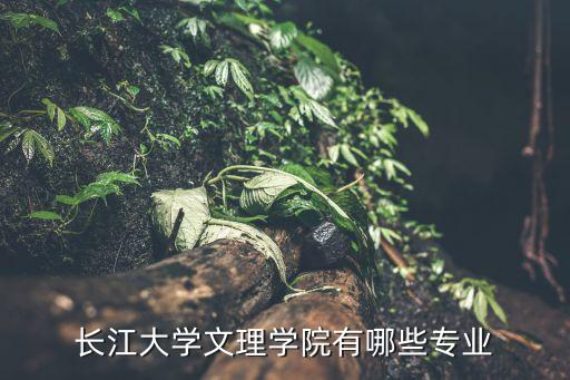 長江文理學(xué)院，長江大學(xué)文理學(xué)院是公辦還是民辦大學(xué)