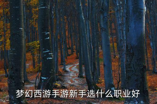 夢(mèng)幻西游手游角色，夢(mèng)幻西游人物