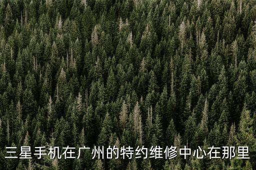 廣州市設(shè)備維護服務公告，廣州上門電腦維修電腦維護