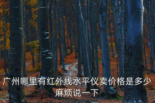 廣州哪里有紅外線水平儀賣價格是多少麻煩說一下
