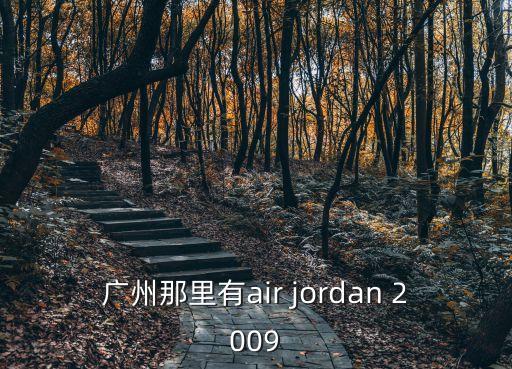 廣州那里有air jordan 2009