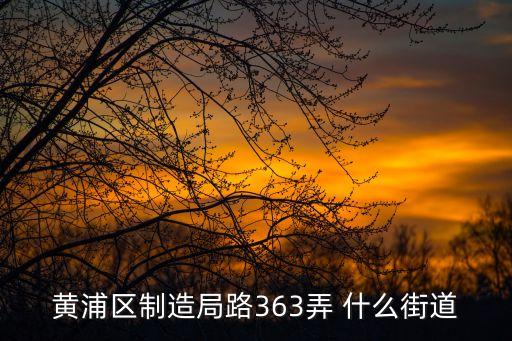 黃浦區制造局路363弄 什么街道