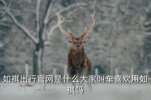 如祺出行官網是什么大家叫車喜歡用如祺嗎