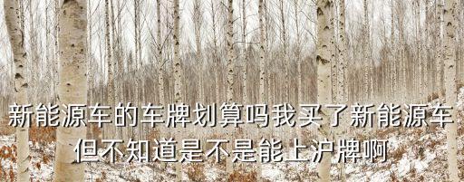 新能源車(chē)的車(chē)牌劃算嗎我買(mǎi)了新能源車(chē)但不知道是不是能上滬牌啊