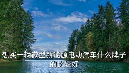 想買一輛微型新能源電動汽車什么牌子的比較好
