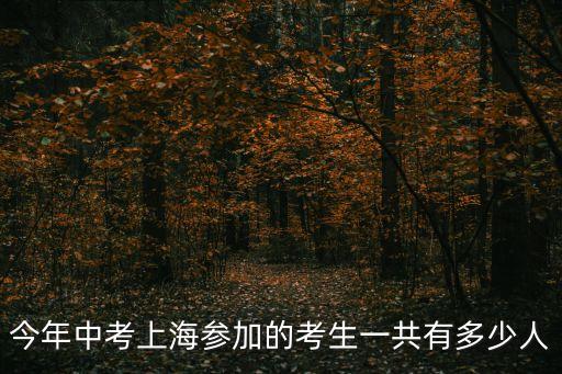 上海市中考報(bào)名人數(shù)，今年中考上海參加的考生一共有多少人