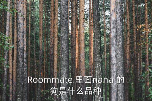 Roommate 里面nana 的狗是什么品種