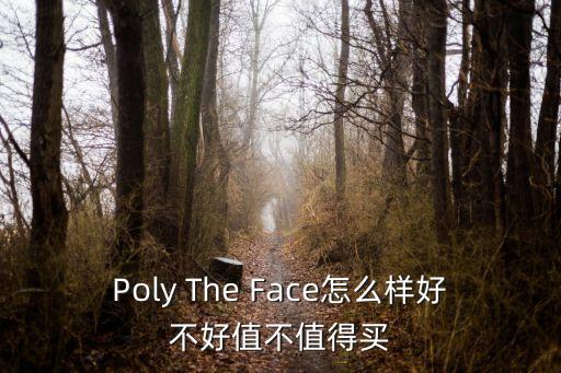 Poly The Face怎么樣好不好值不值得買