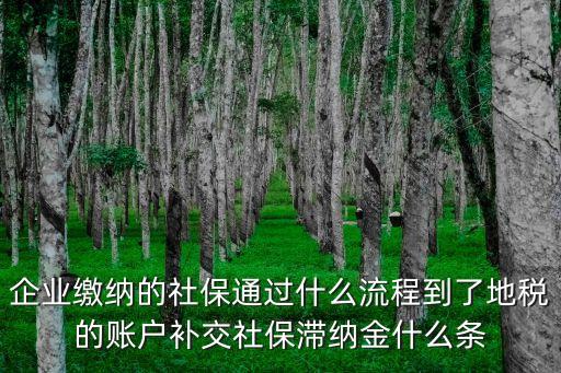 企業(yè)繳納的社保通過什么流程到了地稅的賬戶補交社保滯納金什么條