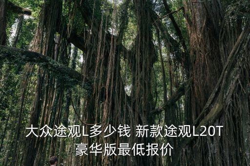 大眾途觀L多少錢 新款途觀L20T豪華版最低報價