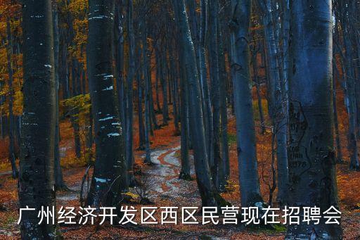 廣州經(jīng)濟開發(fā)區(qū)西區(qū)民營現(xiàn)在招聘會