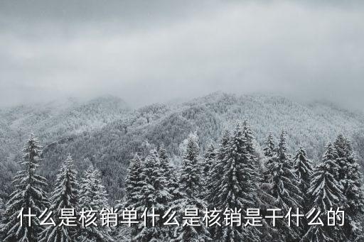 什么是核銷單什么是核銷是干什么的