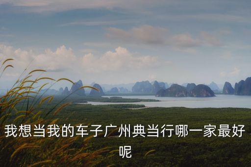 我想當(dāng)我的車子廣州典當(dāng)行哪一家最好呢