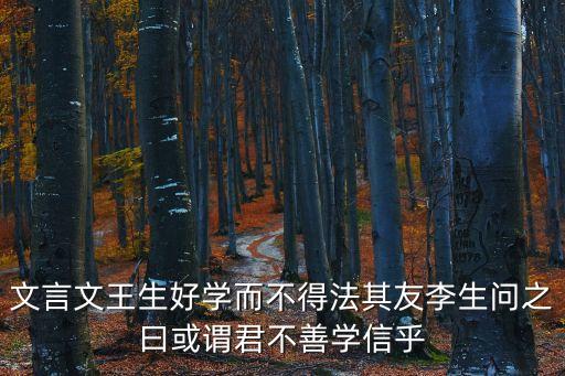 文言文王生好學而不得法其友李生問之曰或謂君不善學信乎