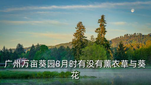廣州八月哪有花開，廣州哪里有花看
