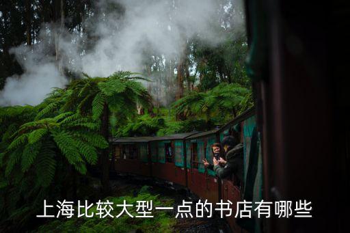 上海比較大型一點的書店有哪些