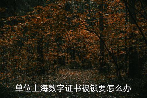 上海市數(shù)字證書鎖死聯(lián)系，上海銀行數(shù)字證書密碼那欄輸不了密碼