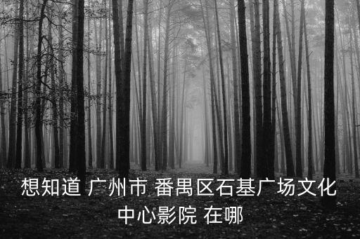 廣東廣州石基廣場，想知道 廣州市 番禺區石基廣場文化中心影院 在哪