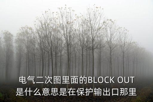 Blockout，用block out造句
