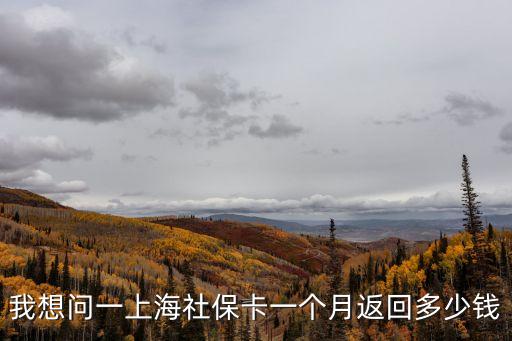 我想問一上海社保卡一個月返回多少錢