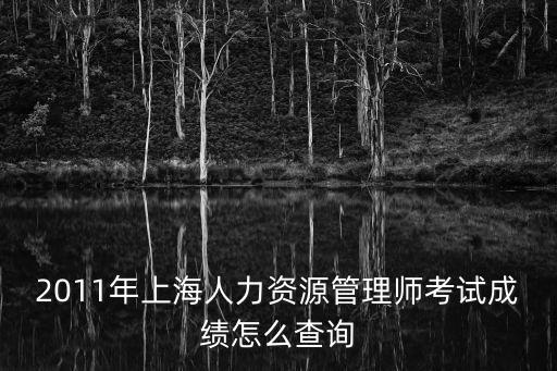 上海市人力資源師分?jǐn)?shù)查詢(xún)，改版的上海勞動(dòng)局網(wǎng)怎么查職業(yè)資格證書(shū)的分?jǐn)?shù)