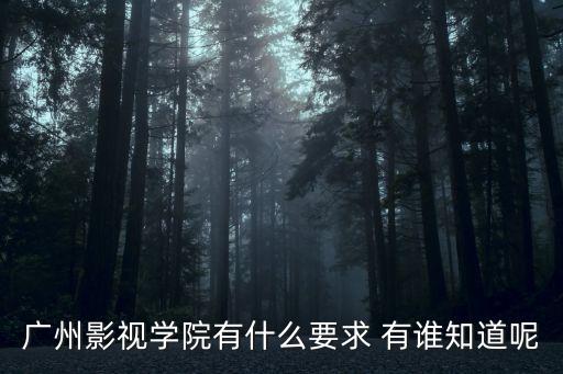 廣州電影留學(xué)申請(qǐng)條件，廣州影視學(xué)院有什么要求 有誰(shuí)知道呢
