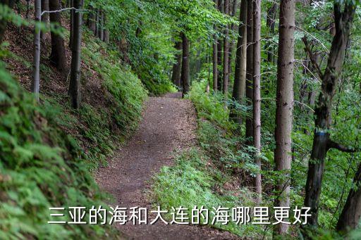 三亞海，三亞是什么海域