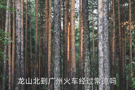 龍山北到廣州火車經(jīng)過常德嗎