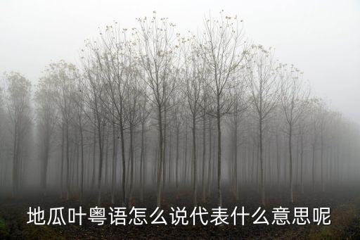 地瓜葉粵語怎么說代表什么意思呢