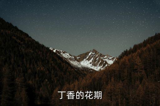 丁香的花期