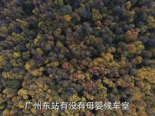 廣州地鐵車廂有母嬰室嗎，廣州地鐵5號線有什么兒童中心嗎