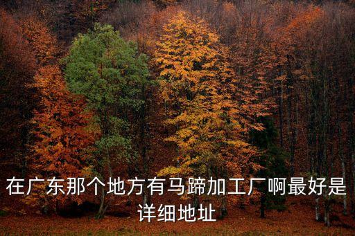 在廣東那個地方有馬蹄加工廠啊最好是詳細地址