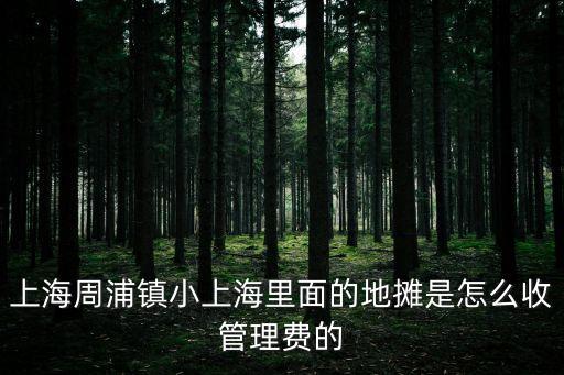 上海市市場管理費收費標準，市場衛(wèi)生管理費是按什么標準收取的收多少