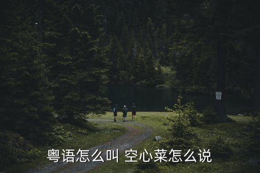 空心菜廣州話，空心菜廣東人講乜野菜