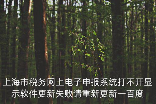 上海市稅務(wù)申報(bào)軟件，滬友申報(bào)系統(tǒng)V20哪里可以下載