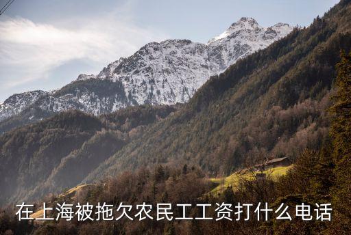 上海市職工援助服務熱線，在上海被拖欠農民工工資打什么電話