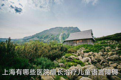上海市語言發育門診，上海市醫院小孩語言矯正