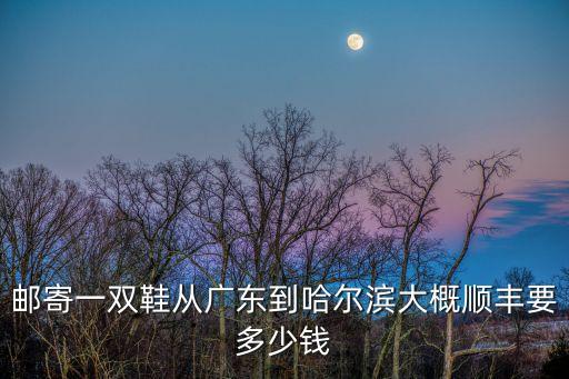 郵寄一雙鞋從廣東到哈爾濱大概順豐要多少錢