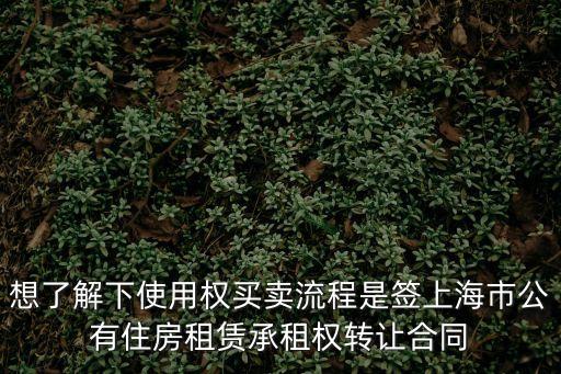 上海市直管公房使用權交易，上海的使用權公房一般大產證多久好辦出來
