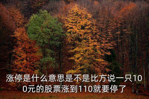 漲停是什么意思是不是比方說一只100元的股票漲到110就要停了