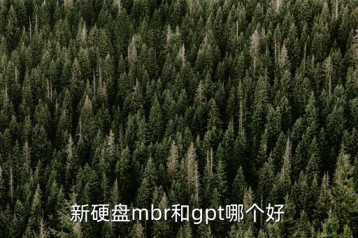 新硬盤mbr和gpt哪個好
