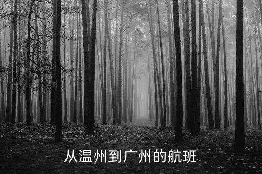 溫州機場有直飛廣州的航班嗎，溫州直達廣州的航班到達廣州的時間是幾點鐘