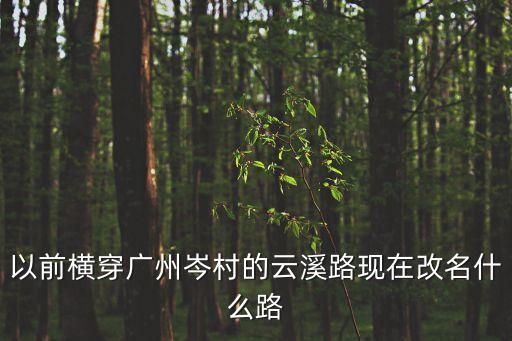 廣州云溪路進度，云溪路在天河客運站的那邊