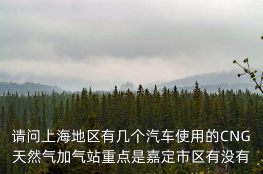請問上海地區有幾個汽車使用的CNG天然氣加氣站重點是嘉定市區有沒有