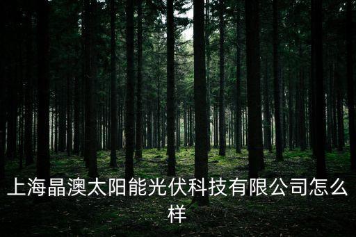 上海市太陽能光伏企業，上海這邊有哪些做光伏的企業