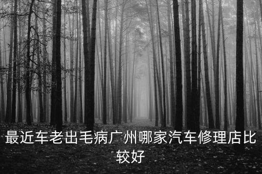 廣州汽車修理店視頻，廣州汽車維修店都有哪些具體地址
