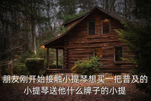 小提琴品牌排行榜，小提琴買哪個牌子最好