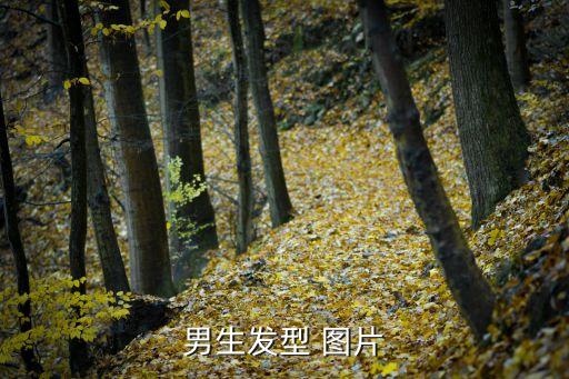 男生發型 圖片