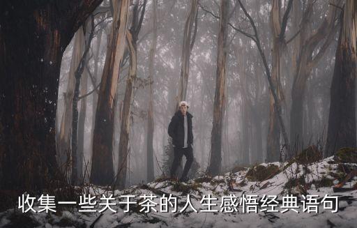 茶語人生經(jīng)典句子，將品茶就是品味人生這句話擴展成60字左右的一段話要求所寫的