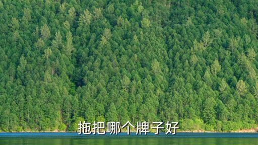 拖把哪個牌子好
